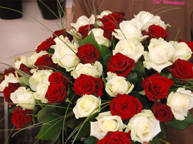 Blumen 2 2